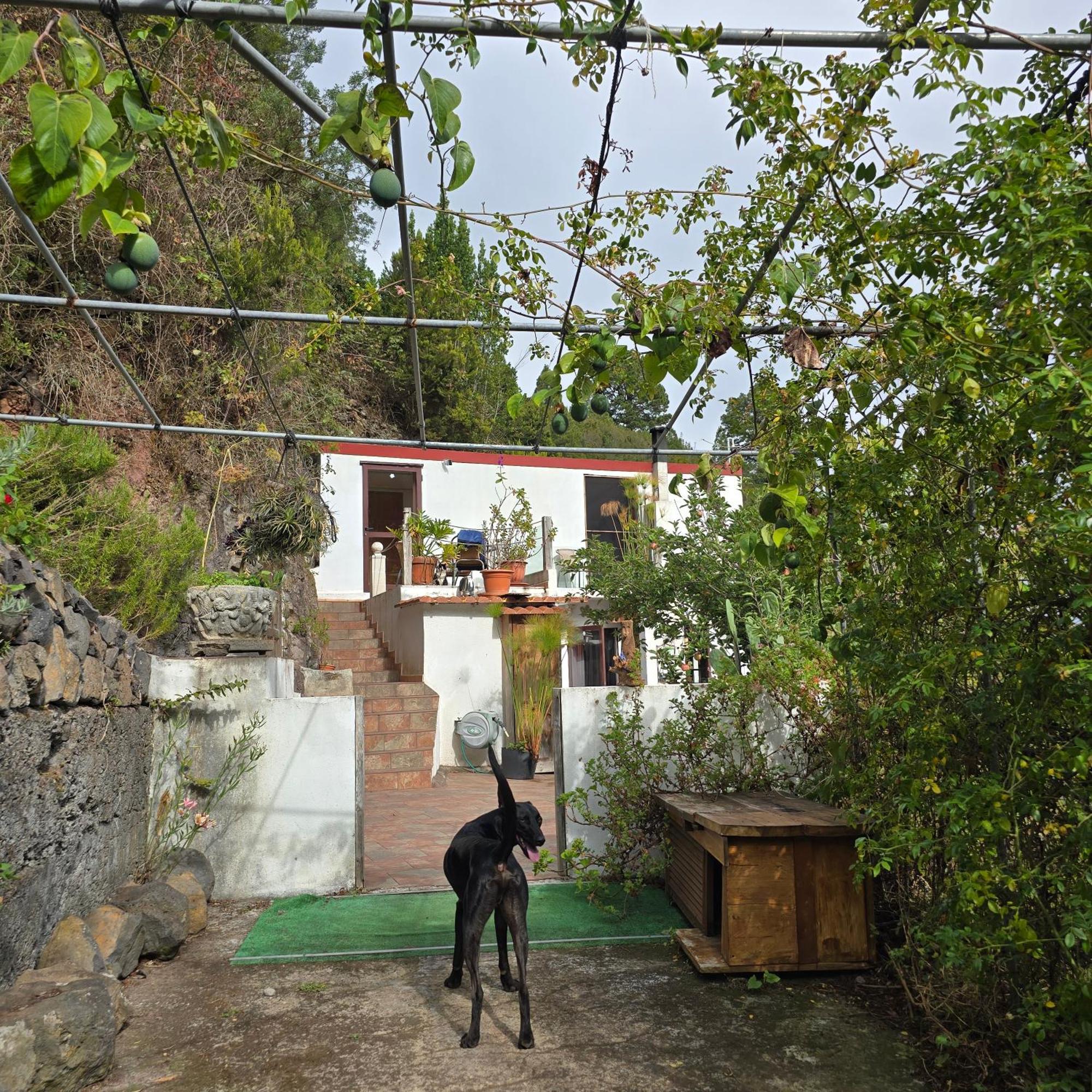 Freedom Villa El Tablado Kültér fotó